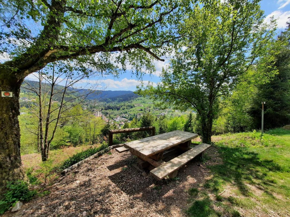 Gite Des 3 Jonquilles Saint-Maurice-sur-Moselle Esterno foto