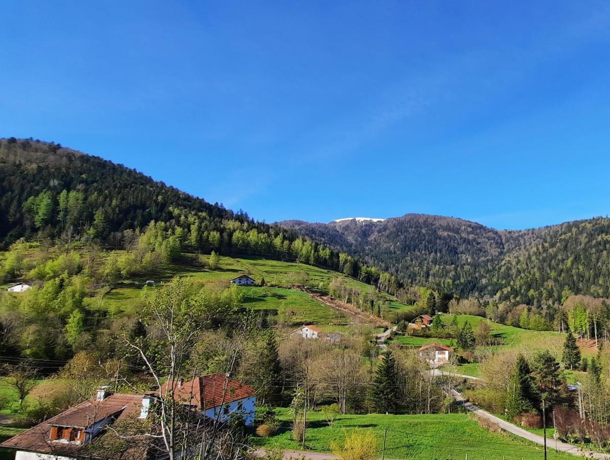 Gite Des 3 Jonquilles Saint-Maurice-sur-Moselle Esterno foto