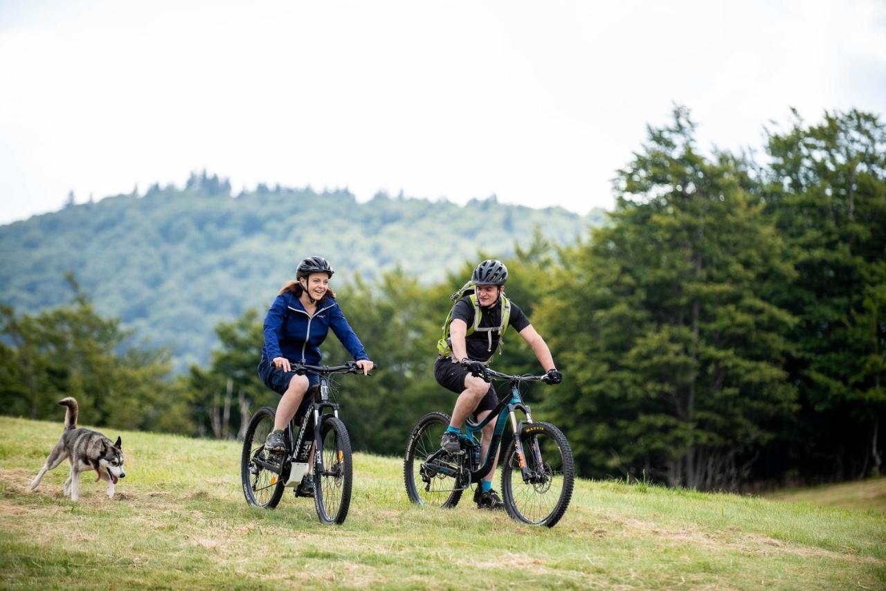 Gite Des 3 Jonquilles Saint-Maurice-sur-Moselle Esterno foto