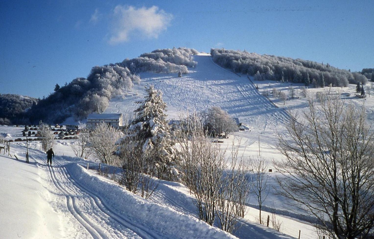 Gite Des 3 Jonquilles Saint-Maurice-sur-Moselle Esterno foto