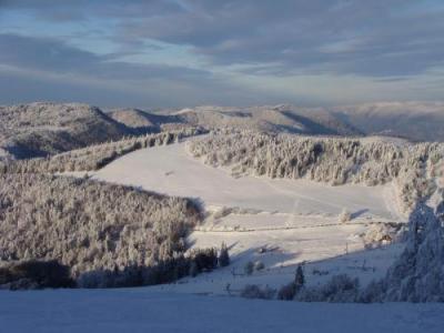 Gite Des 3 Jonquilles Saint-Maurice-sur-Moselle Esterno foto