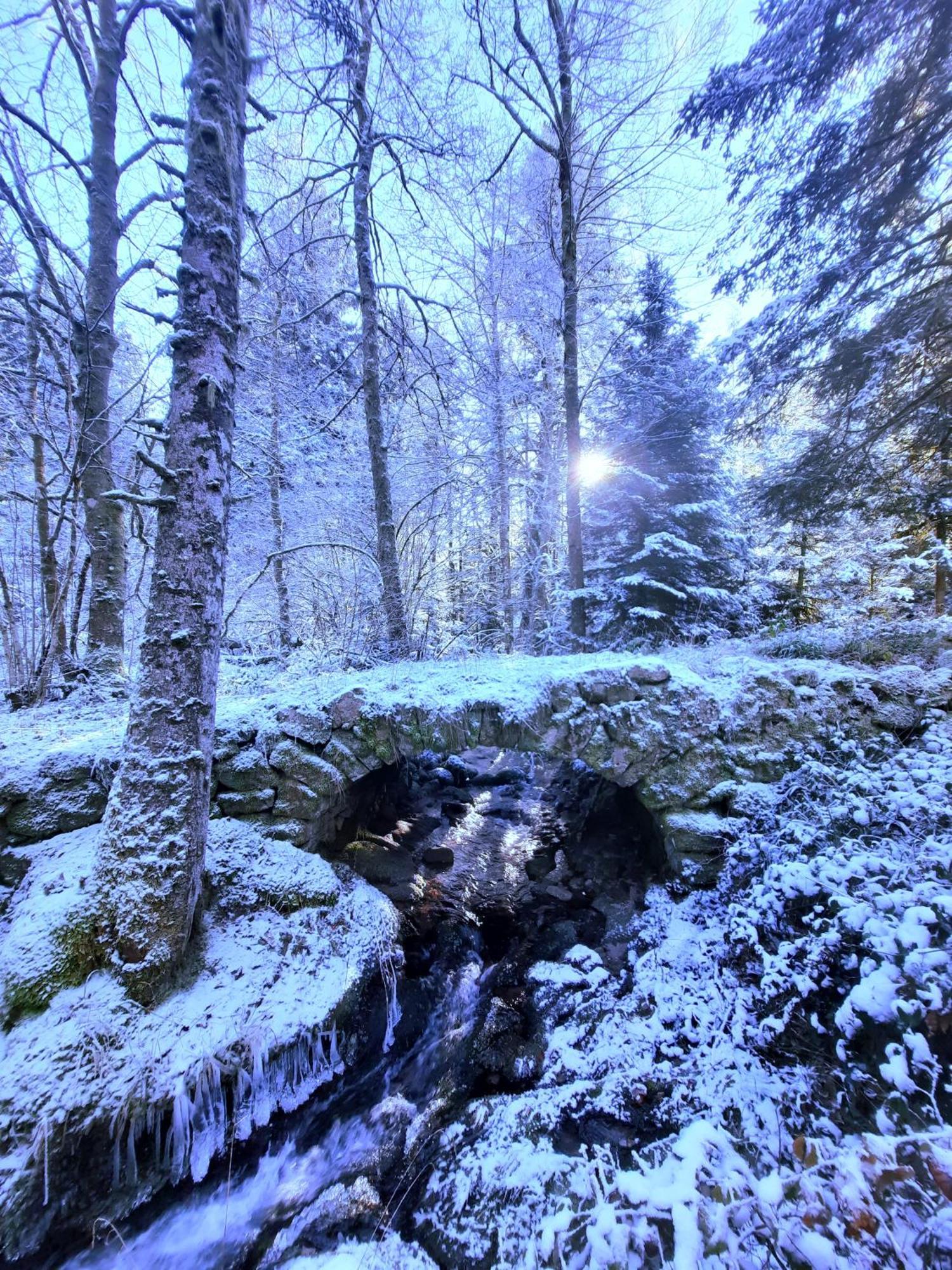 Gite Des 3 Jonquilles Saint-Maurice-sur-Moselle Esterno foto